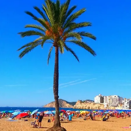 Lägenhet First Line Benidorm