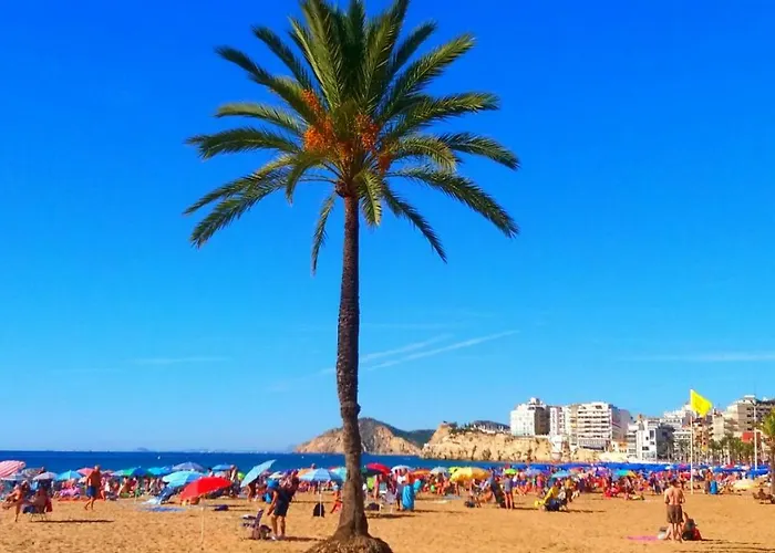 Apartamento First Line Benidorm
